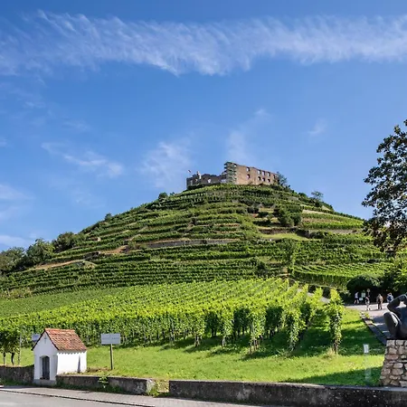 Am Neumagen Staufen im Breisgau